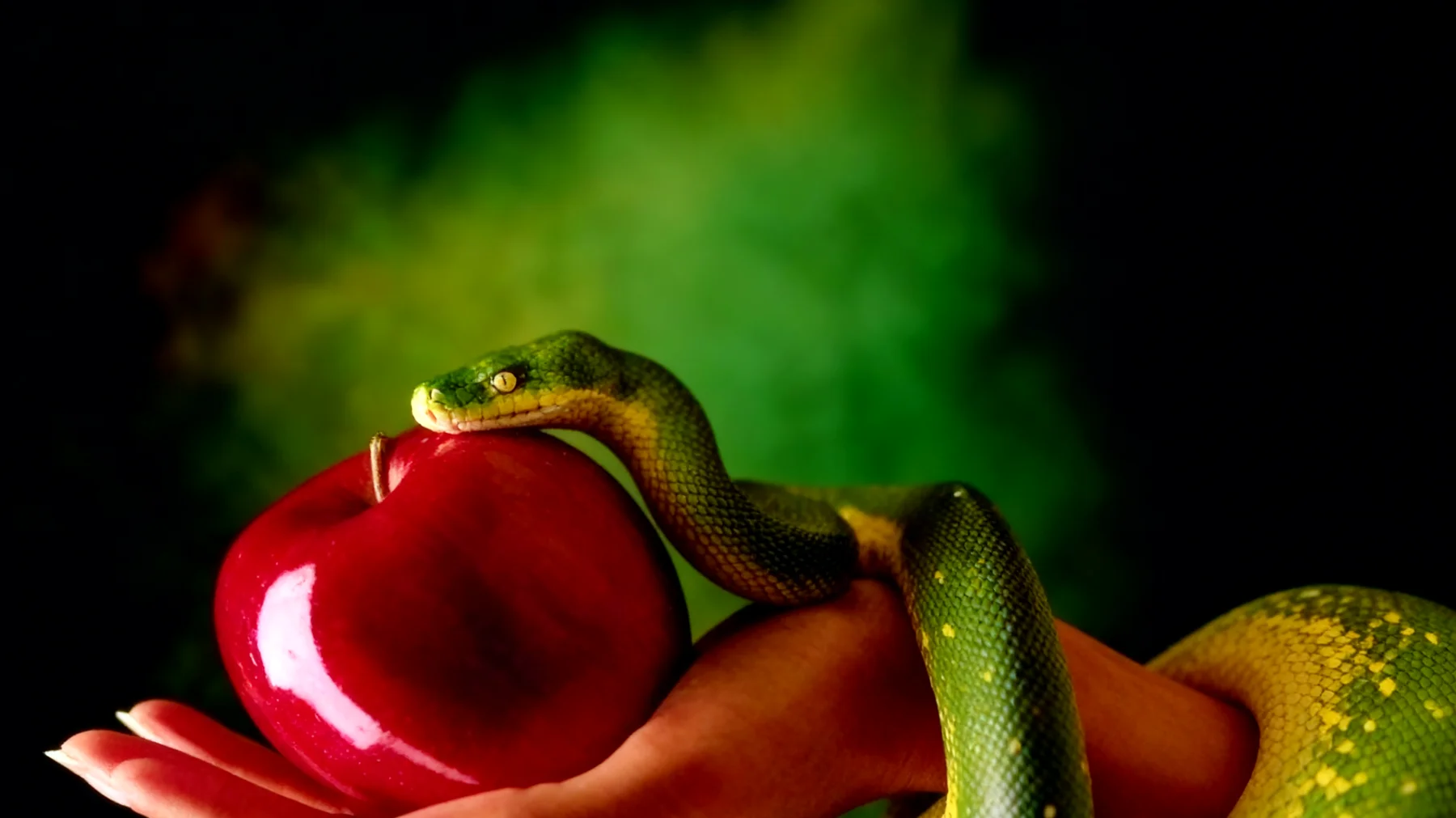 Forbidden Fruit2025-12-16T13:31:50.290Z"