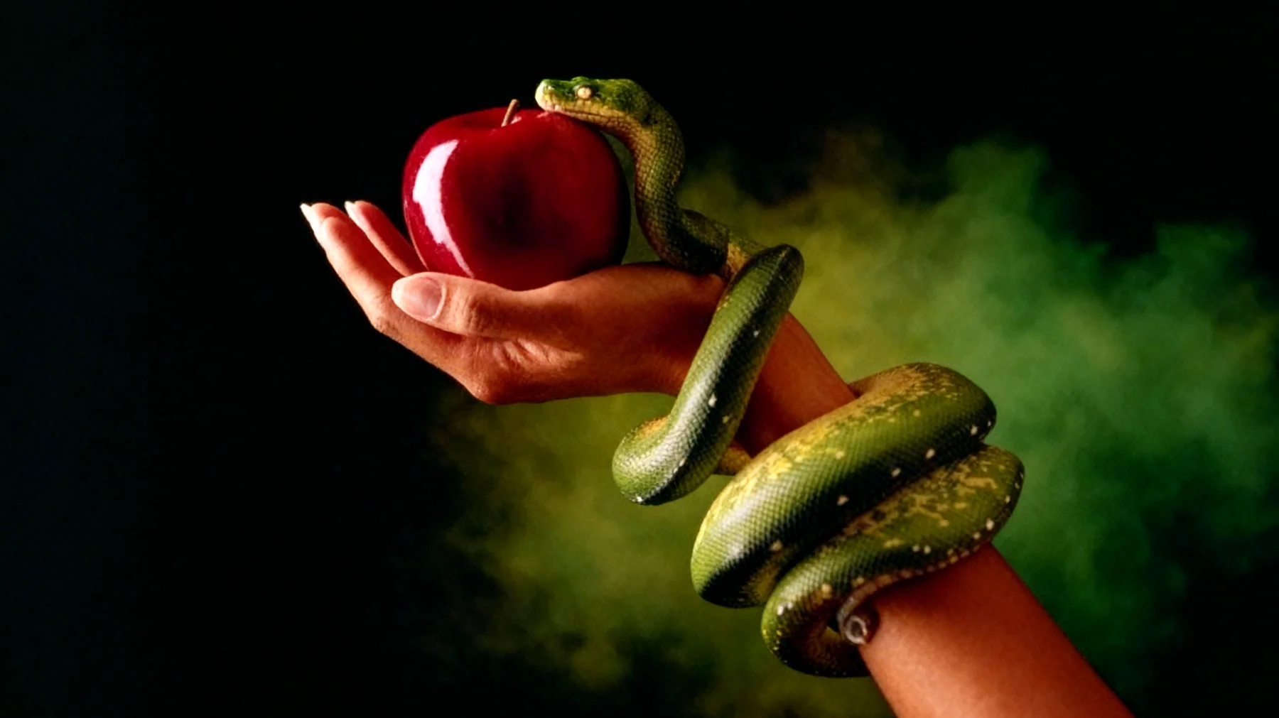 Forbidden Fruit2025-12-21T21:00:49.982Z"