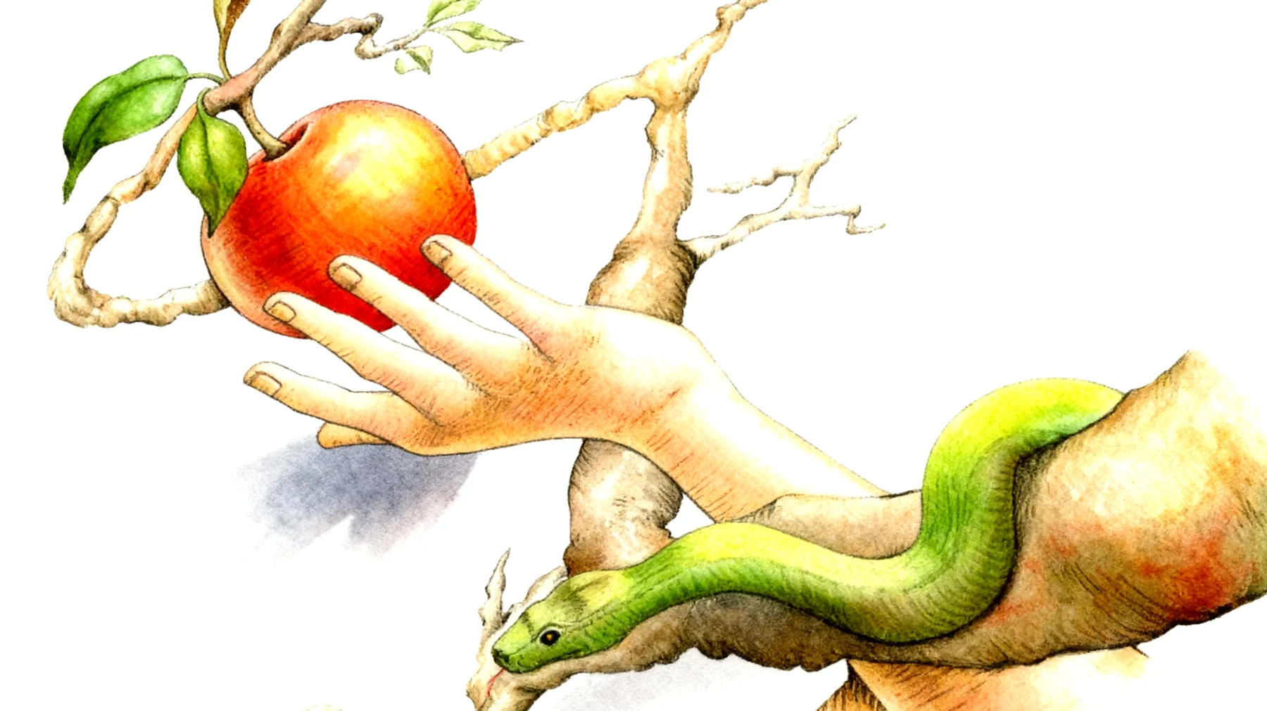 Forbidden Fruit2025-12-23T20:50:28.262Z"