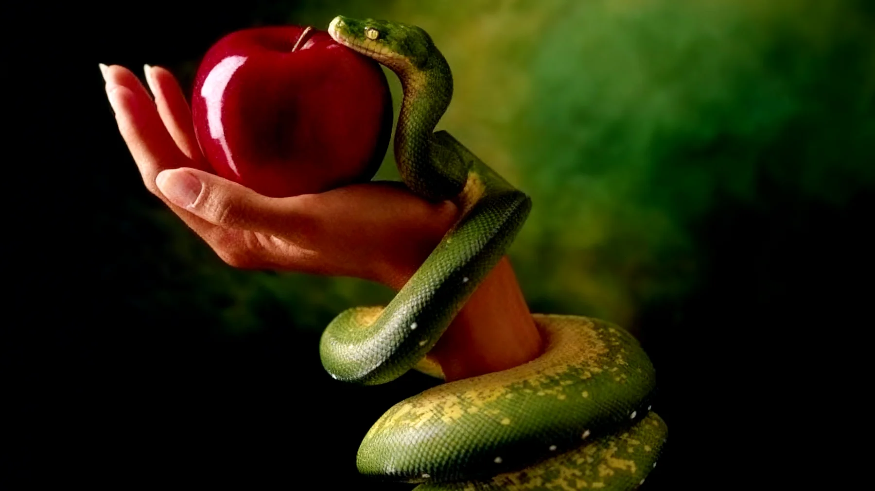 Forbidden Fruit2025-12-29T20:55:07.902Z"