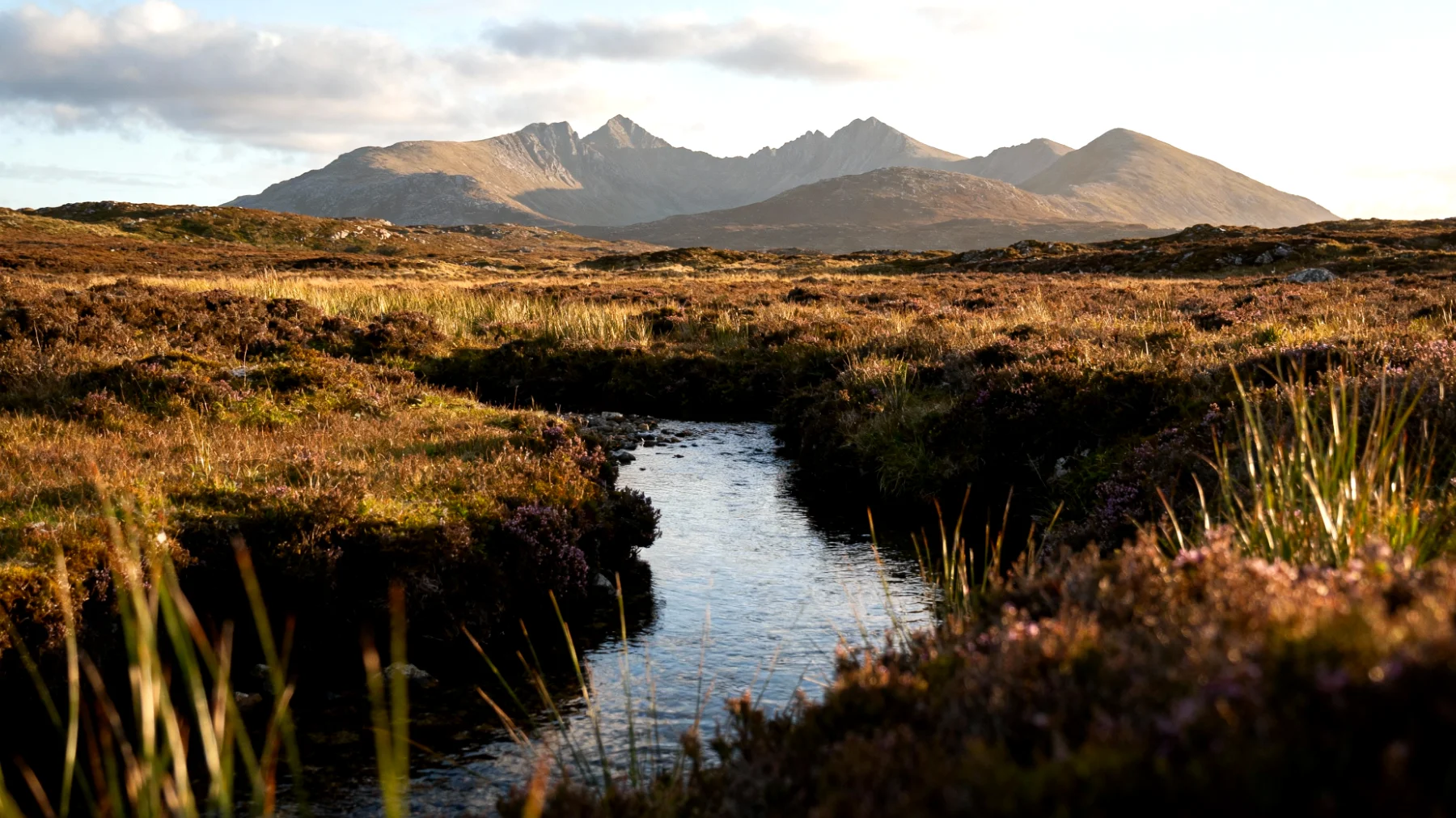 Connemara National Park"