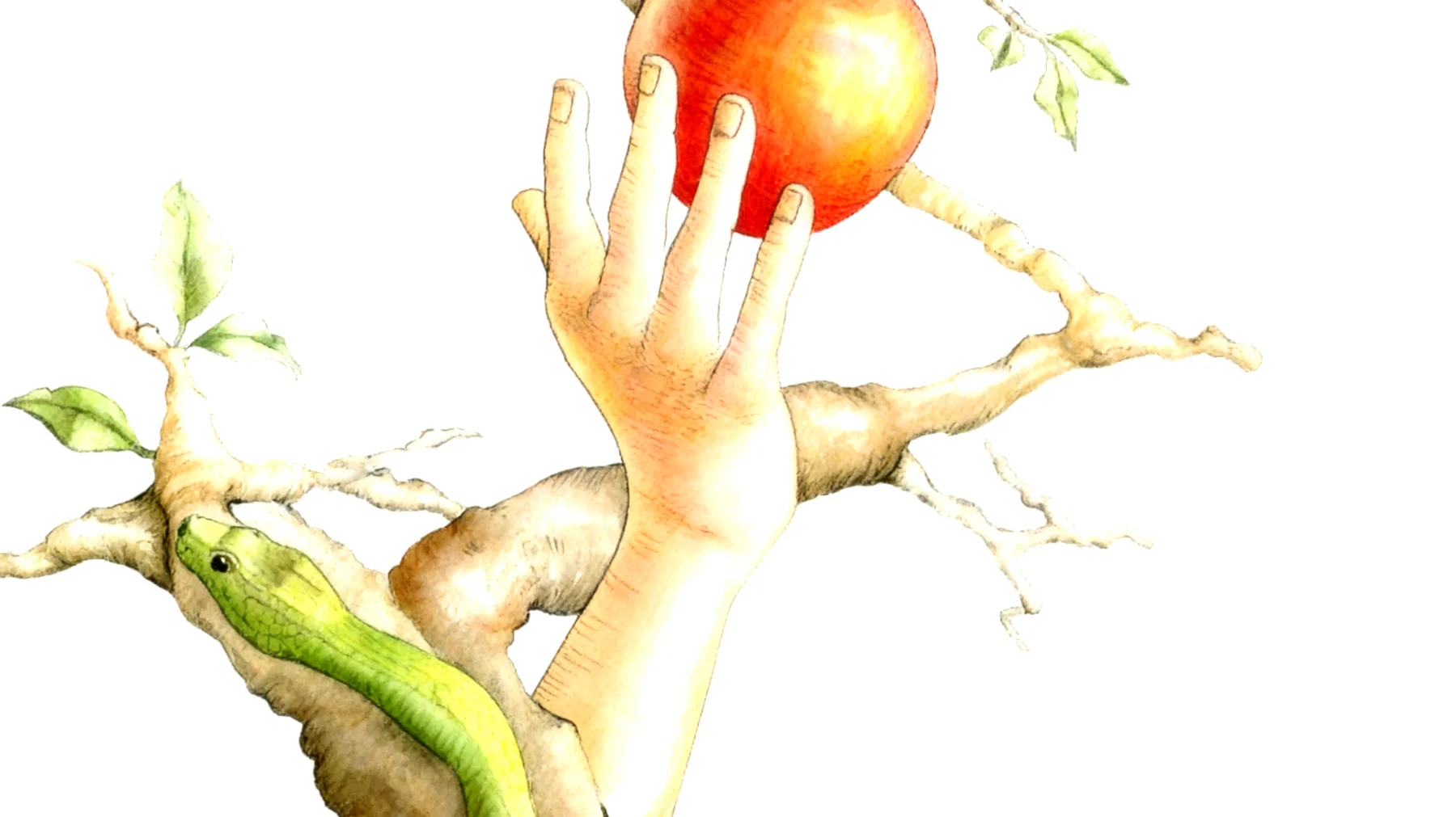 Forbidden Fruit2026-01-01T20:56:35.778Z"