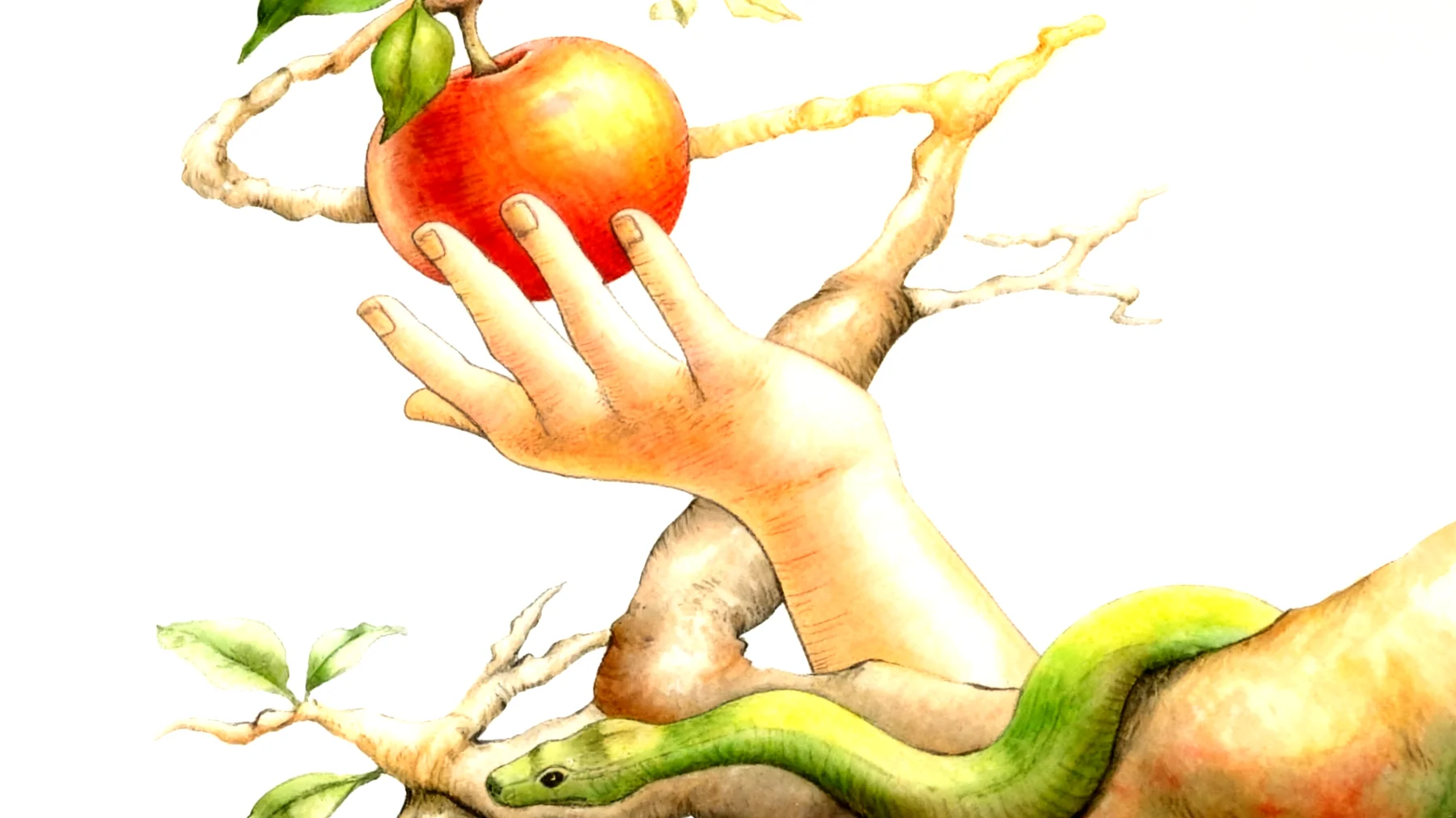 Forbidden Fruit2026-01-12T20:59:03.835Z"