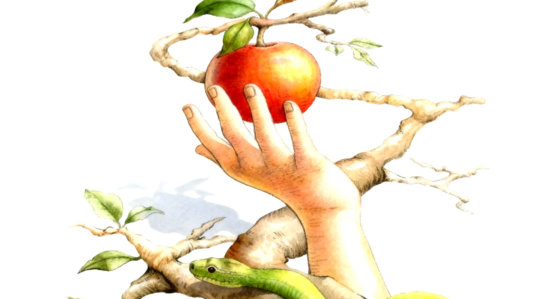 Forbidden Fruit2026-01-13T20:59:52.032Z"