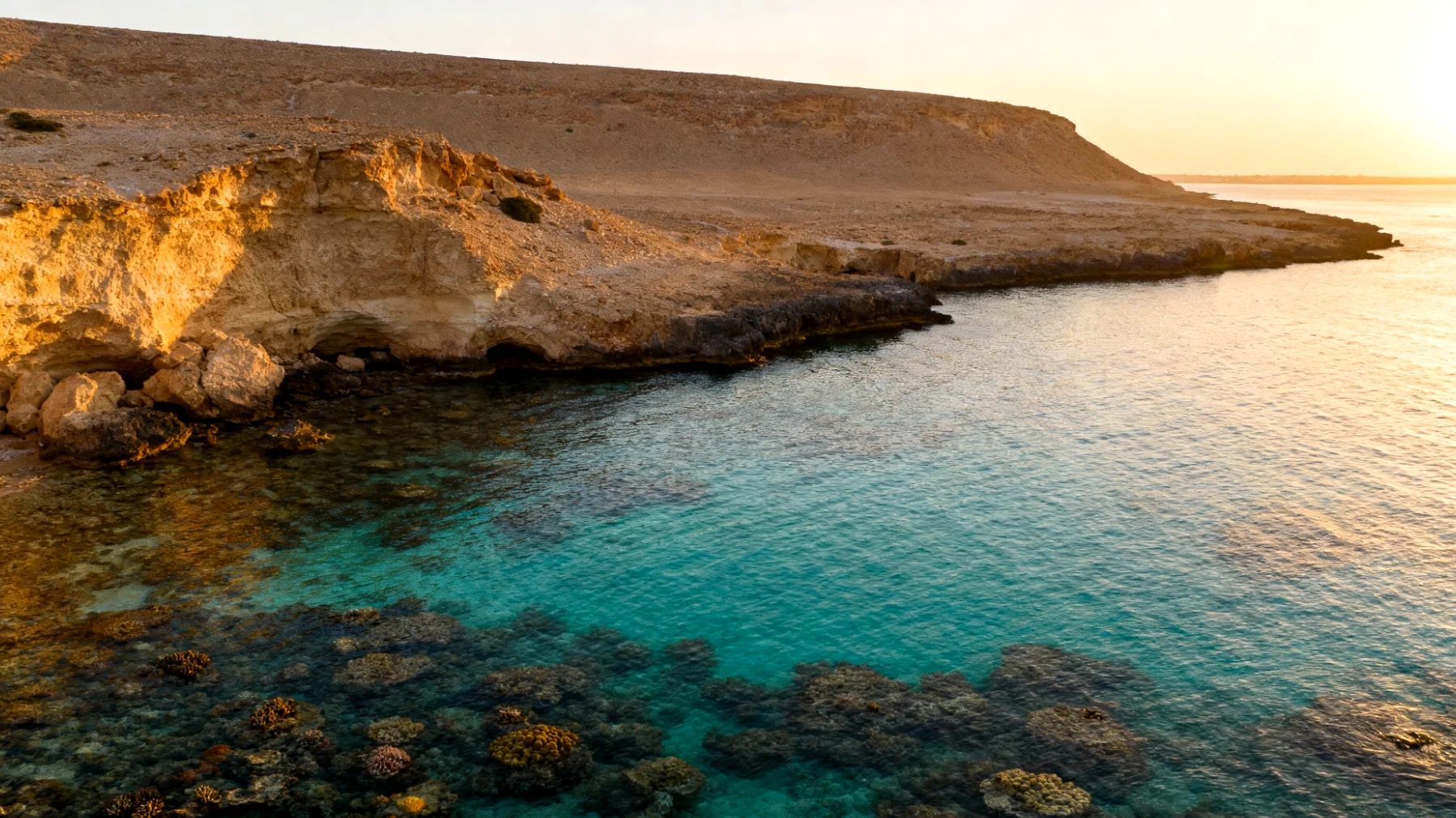 Parco Nazionale di Ras Mohammed"
