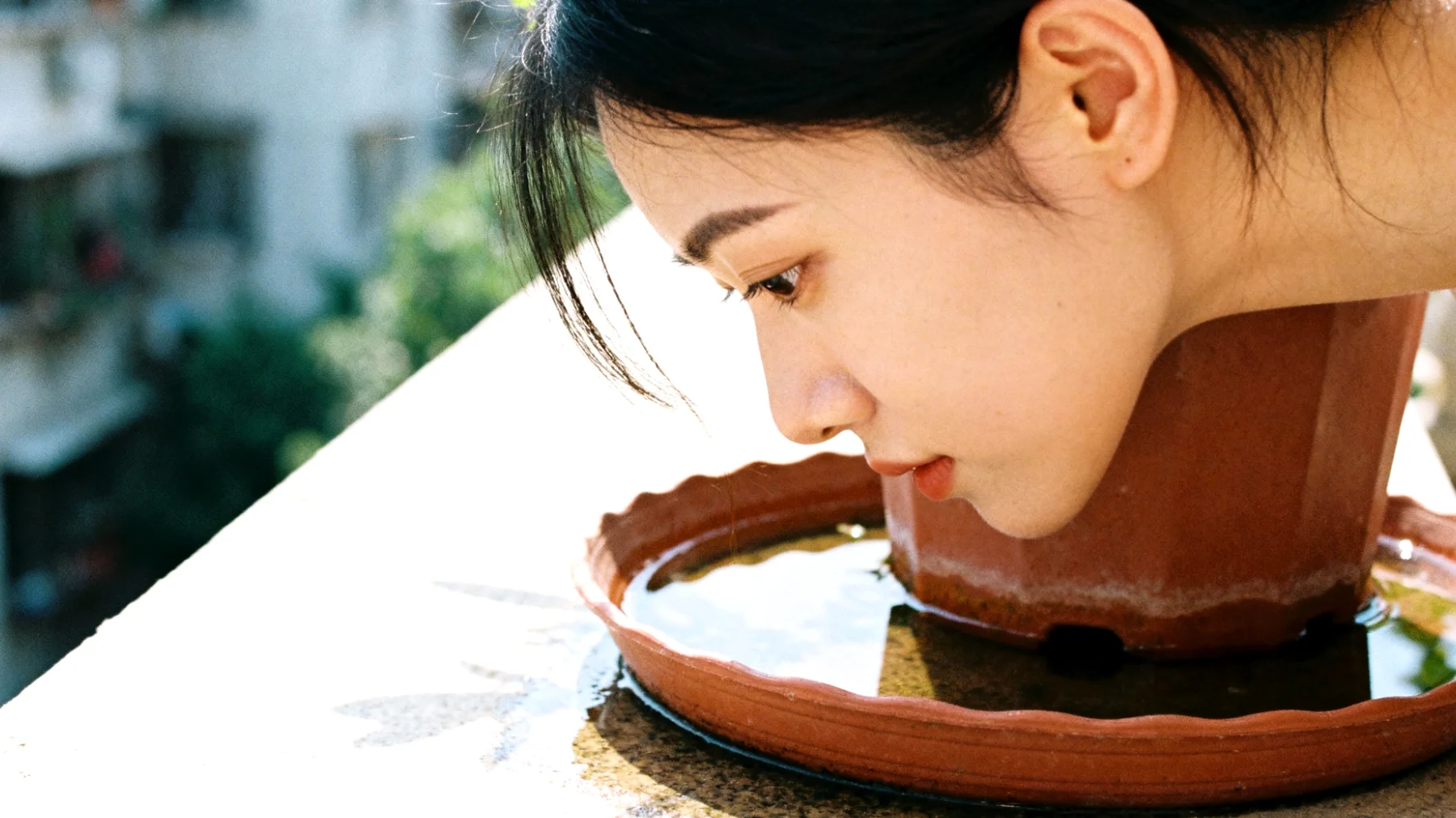 Portavasi decorativi"